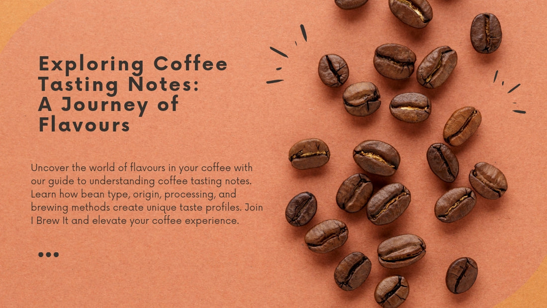 Understanding Coffee Tasting Notes: A Guide to Exploring Flavours - I BREW IT