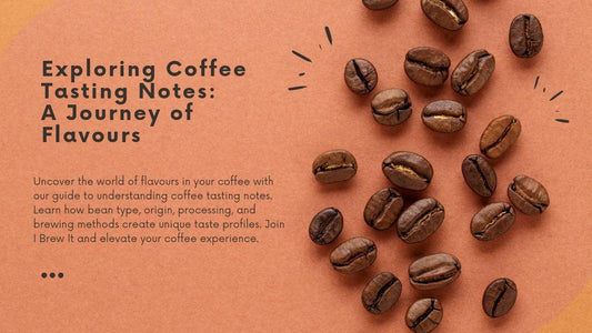 Understanding Coffee Tasting Notes: A Guide to Exploring Flavours - I BREW IT