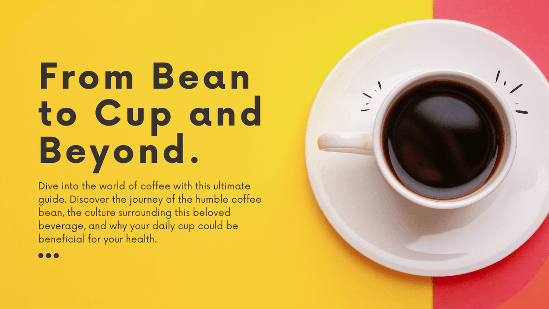 The Ultimate Guide to Coffee: From Bean to Cup and Beyond - I BREW IT